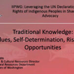 Leveraging the UN Declaration on the Rights of Indigenous Peoples in Shareholder Advocacy