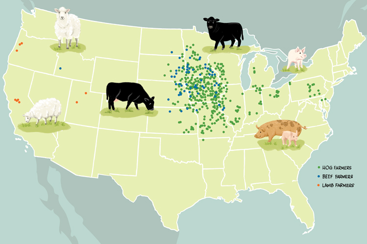 Niman Ranch’s Outsized Impact on Local Economies by Katherine Miller