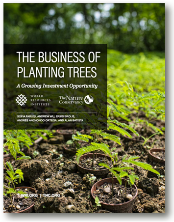 The Business of Planting Trees - GreenMoneyJournal.com