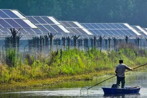 Domini-Thornburg-BostonCommon-Int SRI Funds