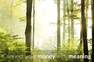 The Connection Between Investing and Our Values-by Rachel McDonough-Ameriprise