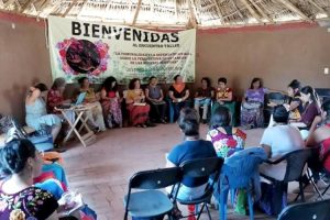 The NextGen Committee of the Ray C. Anderson Foundation has awarded $100000 grant to Cultural Survival supporting grassroots Indigenous solutions to climate change-AG Training School