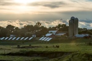 Organic Valley Launches Clean Energy Fund for its Farmers-GreenMoney-June 2021