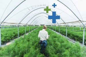 Green Bond Standards Bringing Greater Clarity for Issuers and Investors by Henry Mason and Brian Ellis Calvert Research Mgmt