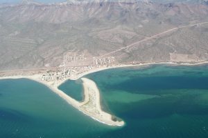 NextGen Committee of Ray C. Anderson Foundation awards grant for Blue Carbon Conservation Program - Feb.22 GreenMoney