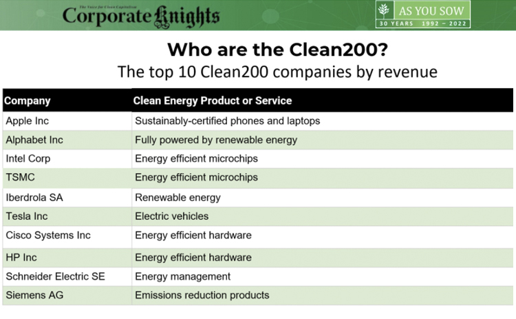 Top 10 Clean200 companies by revenue chart