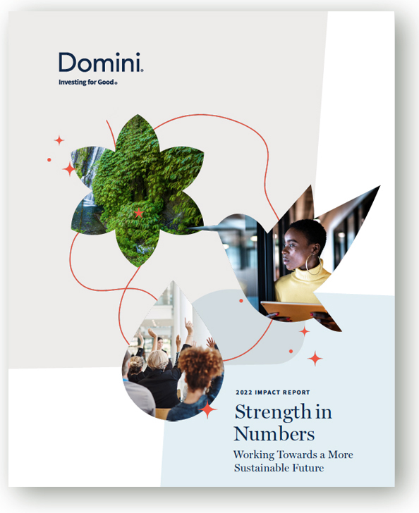 Domini Strength In Numbers 2022 Impact Report