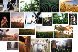 A Female Perspective on Sustainable Investing by Claire Smith