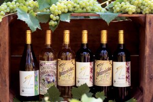 Piioneers in Organic Winemakingl