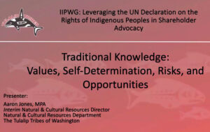 Leveraging the UN Declaration on the Rights of Indigenous Peoples in Shareholder Advocacy