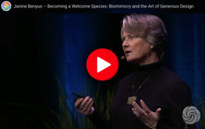 Janine Benyus on Becoming a Welcome Species: Biomimicry and the Art of Generous Design