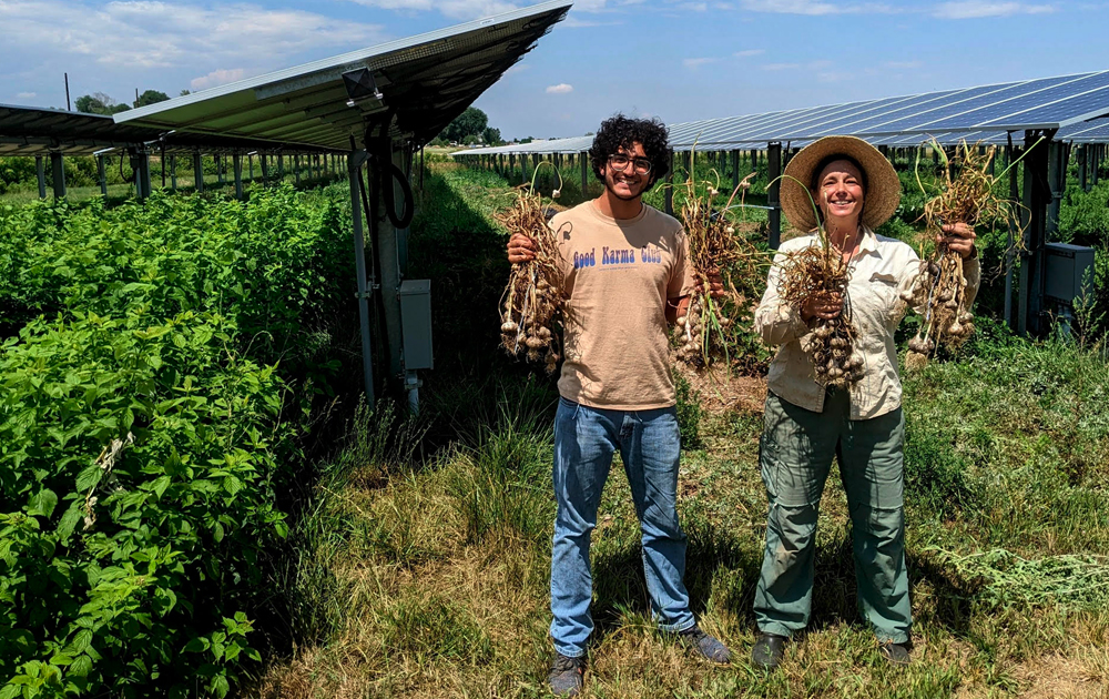 Agrivoltaics gives us hope in a divided world by Garrett Chappell