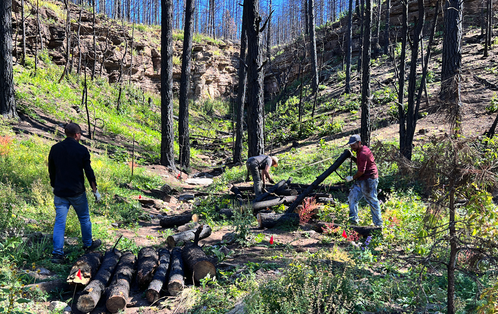 Conservation Finance as Food System Infrastructure