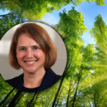 Navigating deregulation: avoiding the sugar rush