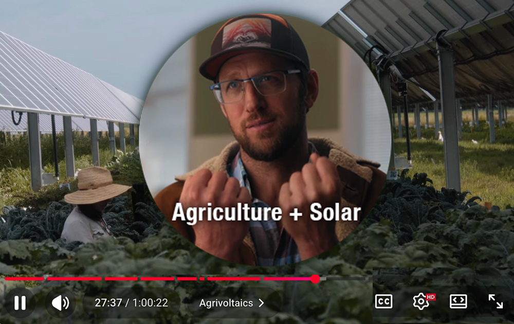 Save the farm Save the Future documentary by FreeRange Films