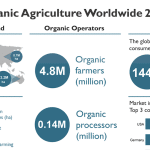 Organic Outpaces the Market: Global Sales Hit Record Highs as U.S. Crosses $76 Billion