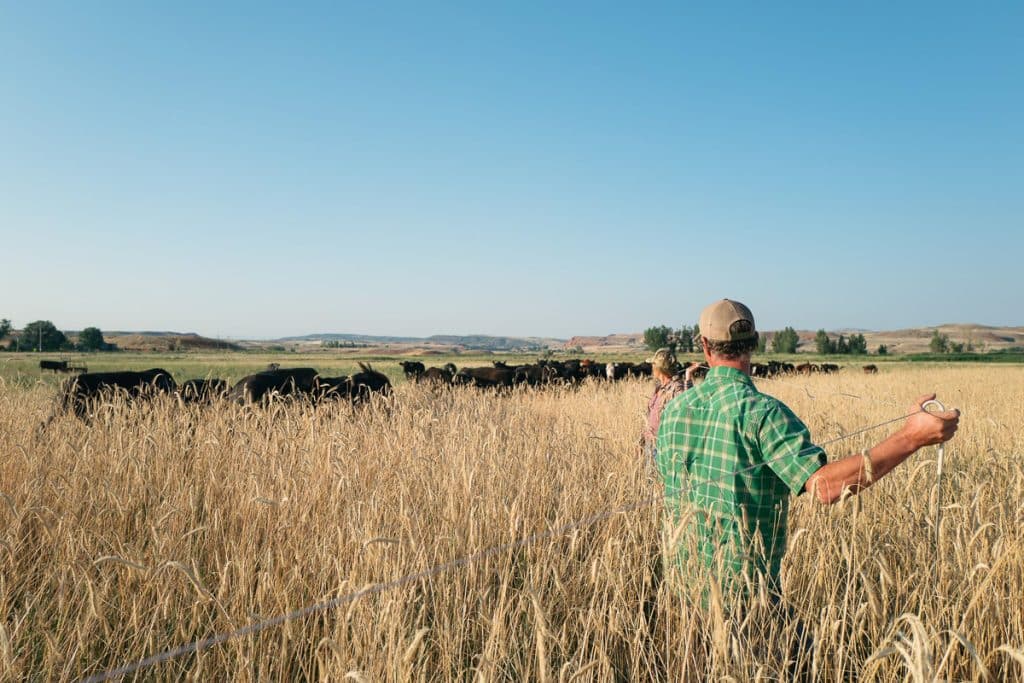 Farmer RC and Annie Carter - Photograph by Rachael Yarbrough from Mad Agriculture