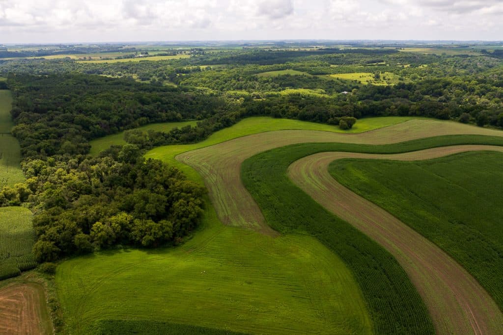 Meadowlark Farm. Photograph courtesy of Mad Agriculture