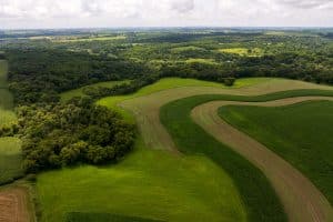 Meadowlark Farm. Photograph courtesy of Mad Agriculture