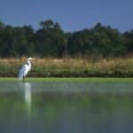 Investing in the Agri-Food Transition: Climate-aligned, water-resilient strategies that create value for investors and nature