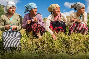 The Christensen Fund works to support Indigenous Peoples to advance inherent rights, dignity, and self-determination